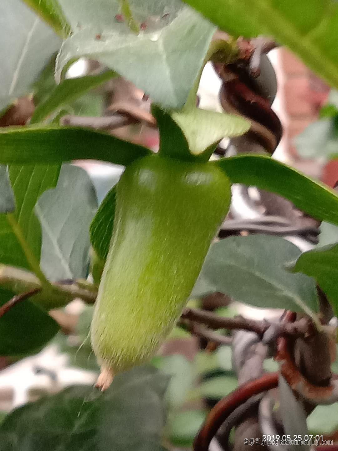 ΢ͼƬ_20190525080543.jpg