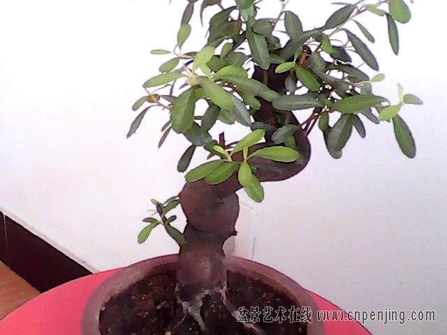 ͼƬ 045.jpg