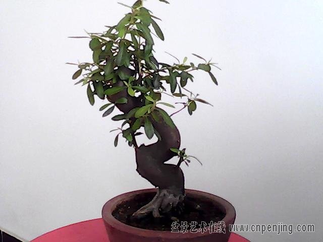 ͼƬ 037.jpg